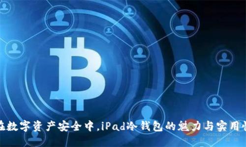 在数字资产安全中，iPad冷钱包的魅力与实用性