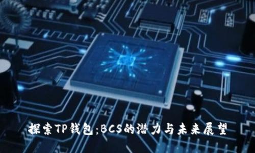 探索TP钱包：BCS的潜力与未来展望