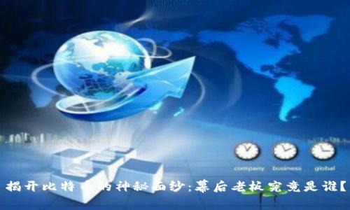 揭开比特币的神秘面纱:幕后老板究竟是谁?