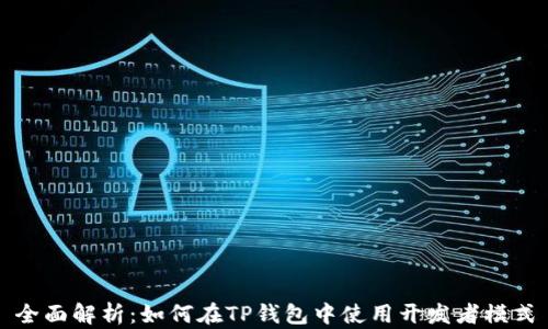 
全面解析：如何在TP钱包中使用开发者模式