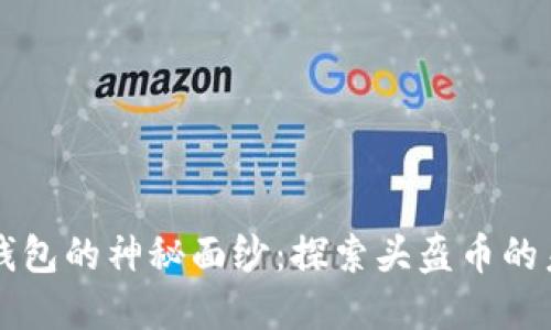 揭开TP钱包的神秘面纱：探索头盔币的未来潜力