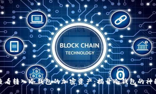 如何查看转入冷钱包的加密资产：揭开冷钱包的神秘面纱