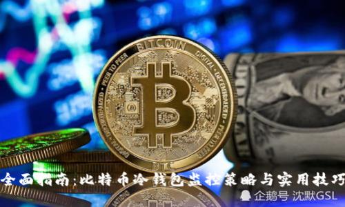 全面指南：比特币冷钱包监控策略与实用技巧